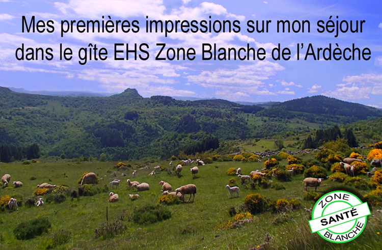 Gite_vue_paturage_moutons_750_P1010285.jpg