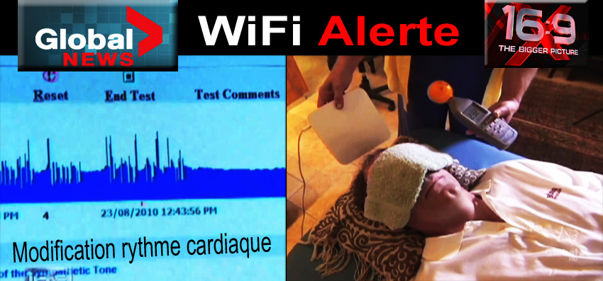 Global_News_WiFi_Alerte_Ecole_et_Modification_rythme_cardiaque_04_11_2010