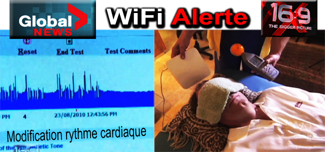 Global_News_WiFi_Alerte_Ecole_et_Modification_rythme_cardiaque_04_11_2010