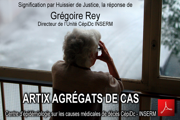 Gregoire_Rey_Directeur_CepiDc_INSERM_la_reponse_agregats_de_cas_Artix_flyer_750_05_04_2014.jpg