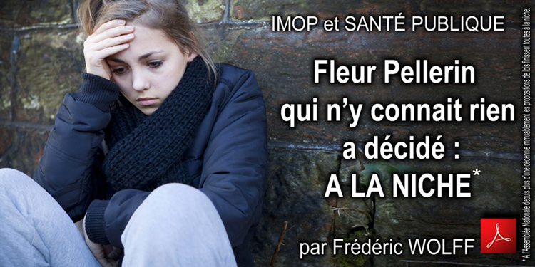 IMOP_et_Sante_Publique_Fleur_Pellerin_qu_n_y_connait_rien_a_decide_a_la_niche_par_Frederic_Wolff_flyer_750_08_02_2014.jpg