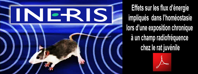 INERIS_Etude_Scientifique_CEM_RF_Flyer_750_version_Fr