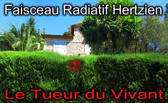 Impact_irradiation_Faisceau_Hertzien_650_962