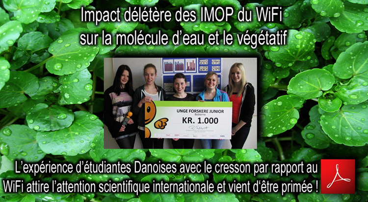 Impact_irradiations_Micro_Ondes_WiFi_Cresson_Dk_Flyer_750_24_05_2013