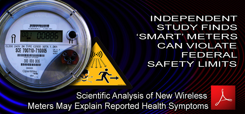 Independent_Study_Finds_Smart_Meter_Can_Violate_Federal_Safety_Limits_03_02_2011_news