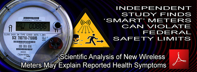 Independent_Study_Finds_Smart_Meter_Can_Violate_Federal_Safety_Limits_03_02_2011_news_650
