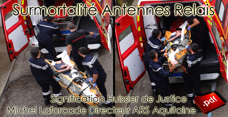 Intervention_Malaise_flyer_duo_Surmortalite_Antennes_Relais_750_24_06_2014.jpg