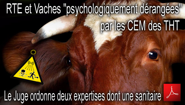 Juge_ordonne_deux_expertises_RTE_Vache_psychologiquement_derangees_CEM_THT_07_06_2012_flyer_news