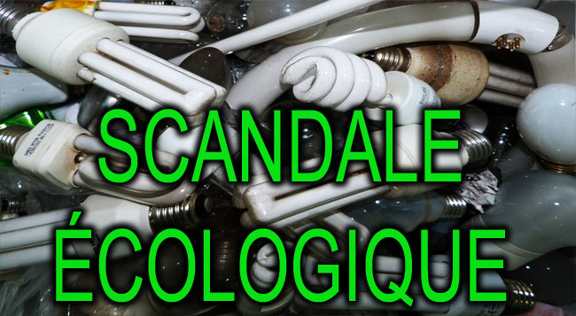 LFC_Scandale_Ecologique_news