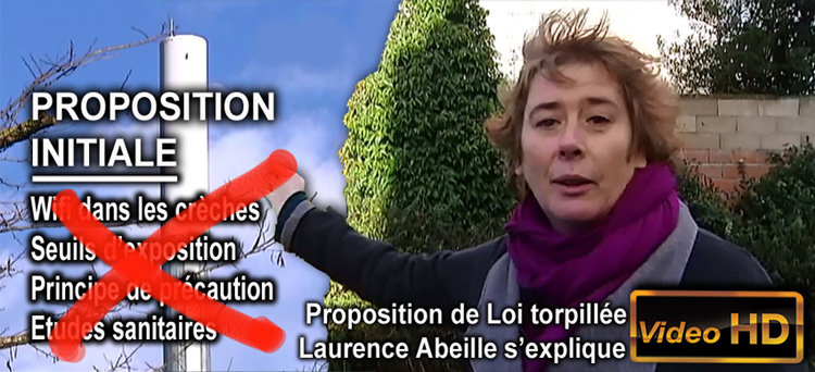 Laurence_Abeille_Proposition_de_Loi_torpillee_Flyer_750_02_02_2013