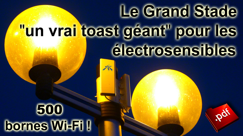 Le_Grand_Stade_un_vrai_toast_geant_pour_les_electrosensibles_850_P1000275.jpg