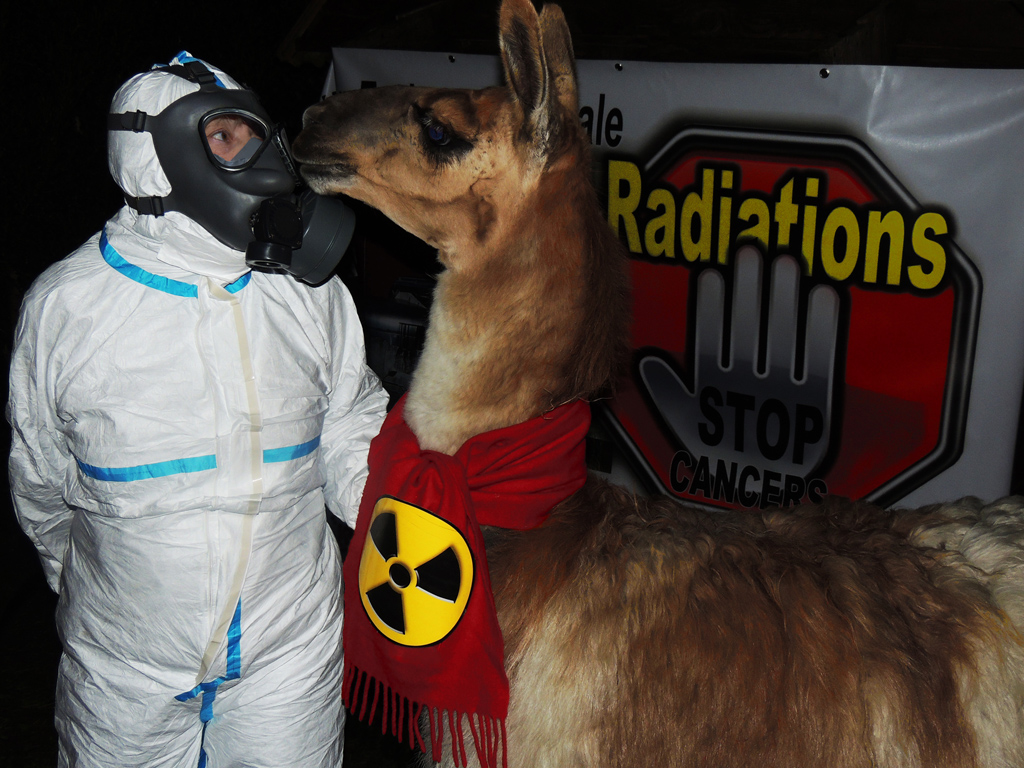 Le_Lama_de_Serge_est_anti_nucleaire_1024_DSCN0088.jpg