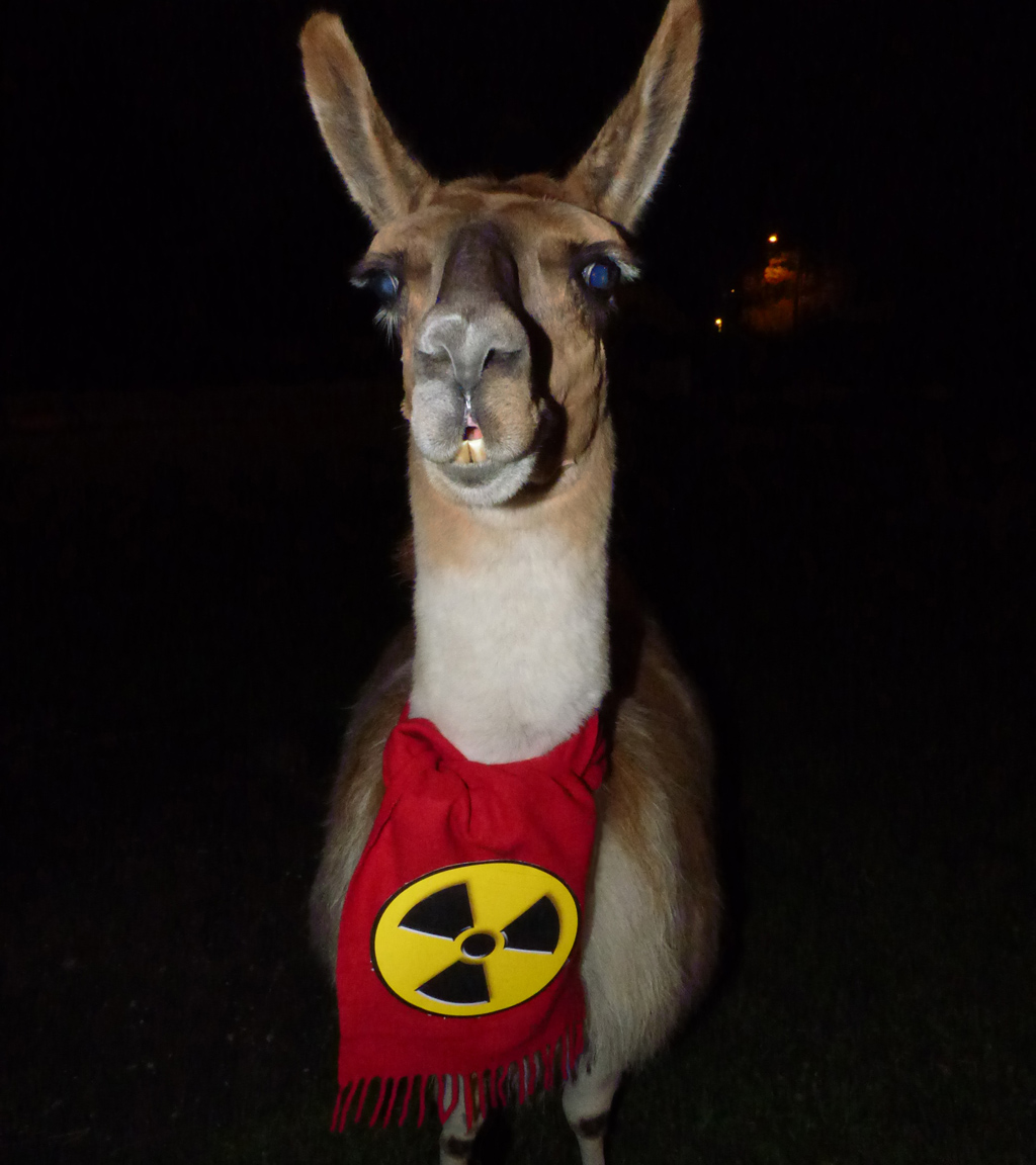 Le_Lama_de_Serge_est_anti_nucleaire_1024_P1000384.jpg