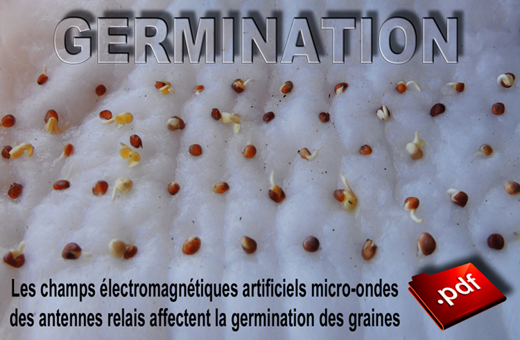 Les_champs_electromagnetiques_artificiels_micro_ondes_des_antennes_relais_affectent_la_germination_des_graines_flyer_750_DSCN9718.jpg