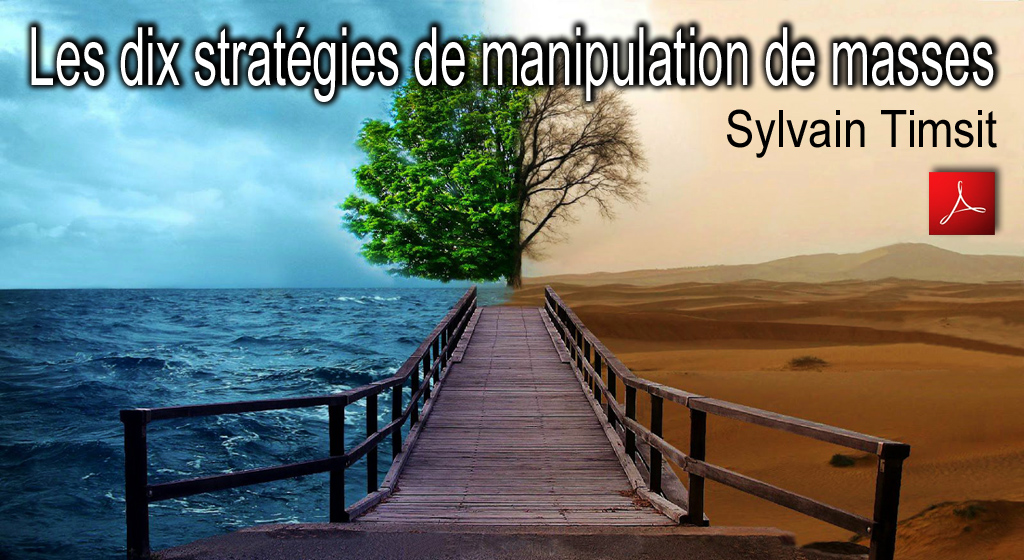 Les_dix_strategies_de_manipulation_de_masses_Sylvain_Timsit