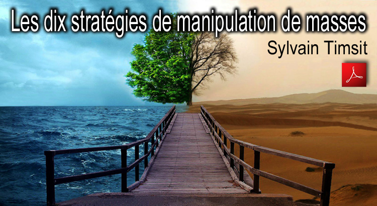 Les_dix_strategies_de_manipulation_de_masses_Sylvain_Timsit_flyer_750.jpg