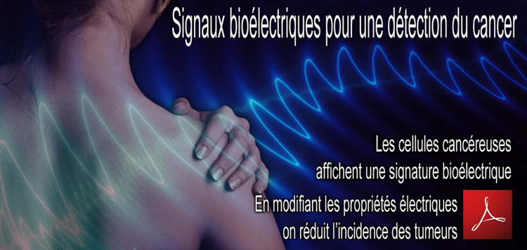 Les_signaux_bioelectriques_detections_cancers_flyer_750_11_03_2013