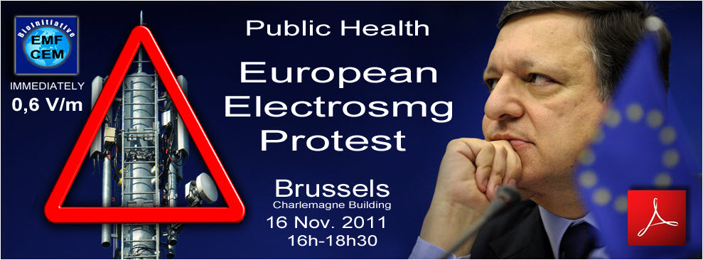 Manifestation_Europeenne_contre_Electrosmog_Bruxelles_16_Novembre_2011_News_UK_version