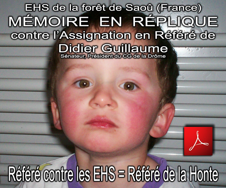 Memoire_en_Replique_Refere_Contre_les_EHS_20_07_2010