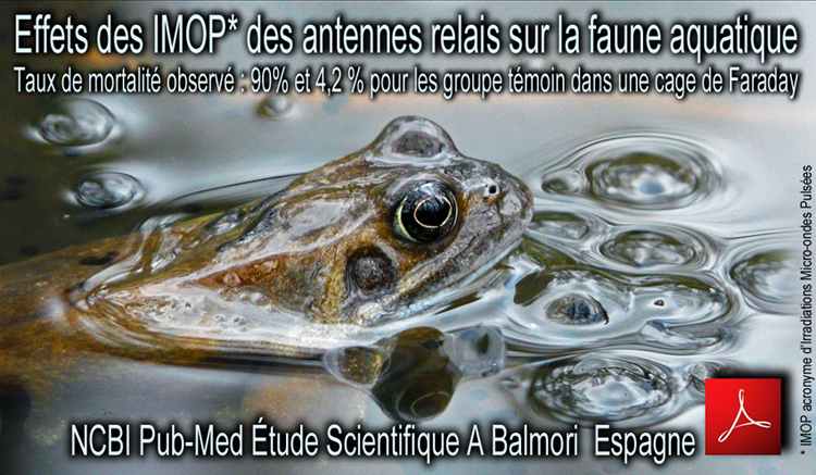NCBI_Pub_Med_Effets_exposition_rayonnements_antennes_relais_sur_les_grenouilles_rousses_et_tetards_Balmori_A_Flyer_750