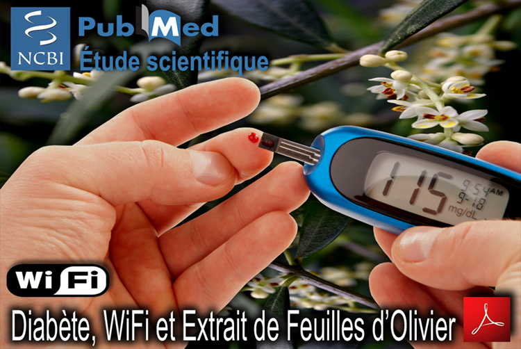 NCBI_WiFi_Diabete_et_extrait_feuilles_olivier_flyer_750_02_01_2014.jpg