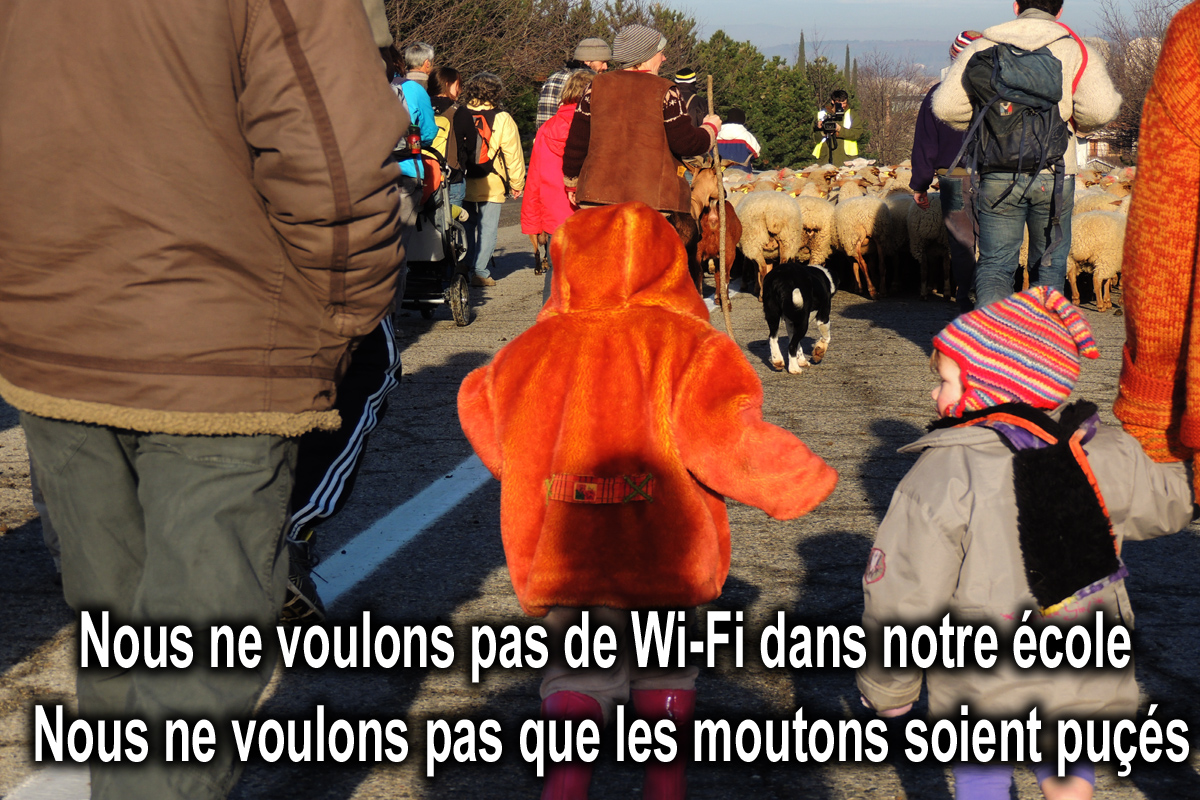 Non_Pucage_RFID_Directives_Europeennes_liberticides_Radiations_Oui_a_la_Sante_DSCN0322