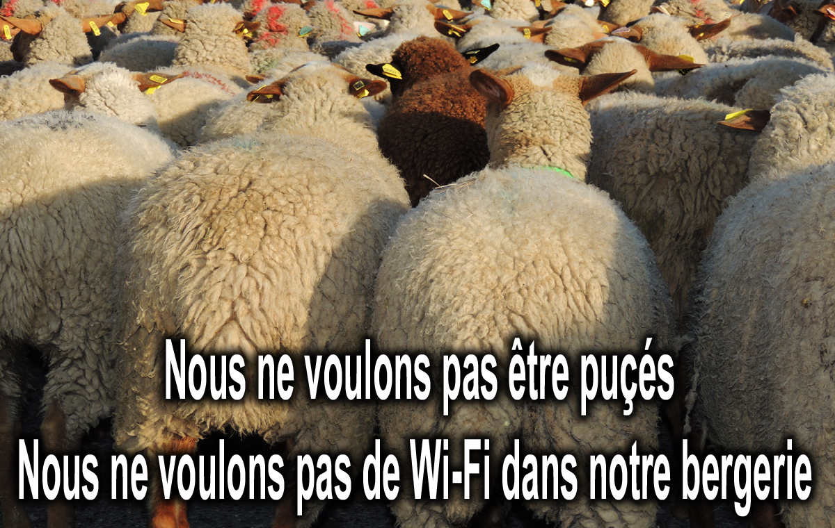 Non_Pucage_RFID_Directives_Europeennes_liberticides_Radiations_Oui_a_la_Sante_DSCN0352