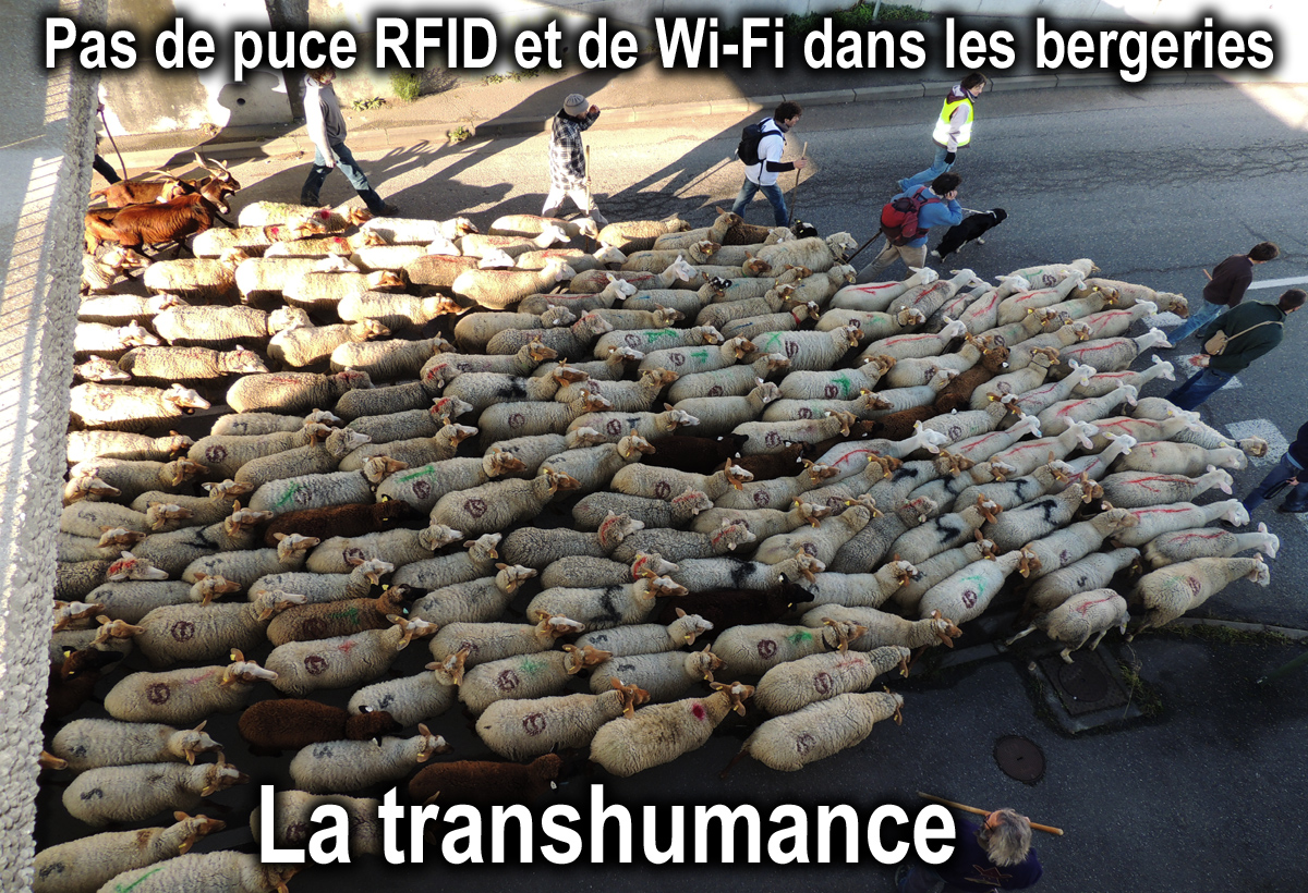 Non_Pucage_RFID_Directives_Europeennes_liberticides_Radiations_Oui_a_la_Sante_DSCN0375
