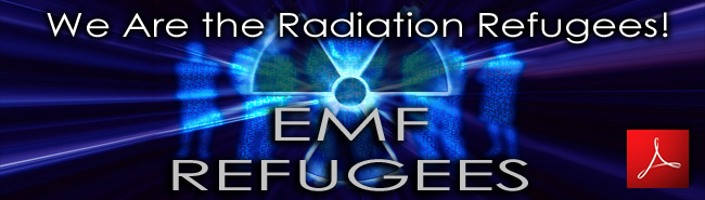 Paul_Doyon_We_Are_the_Radiation_Refugees_30_03_2011