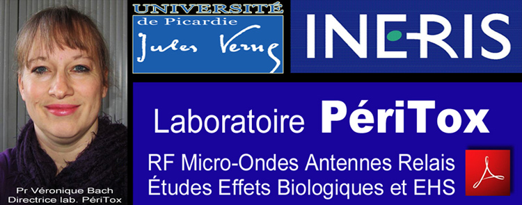 PeriTox_Laboratoire_Effets_CEM_Equilibre_Energetique_Flyer_750_04_2013