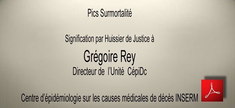 Pics_Surmortalite_Signification_par_Huissier_de_Justice_a_Gregoire_Rey_Directeur_Unite_CepiDc_INSERM_flyer_750_04_03_2014.jpg