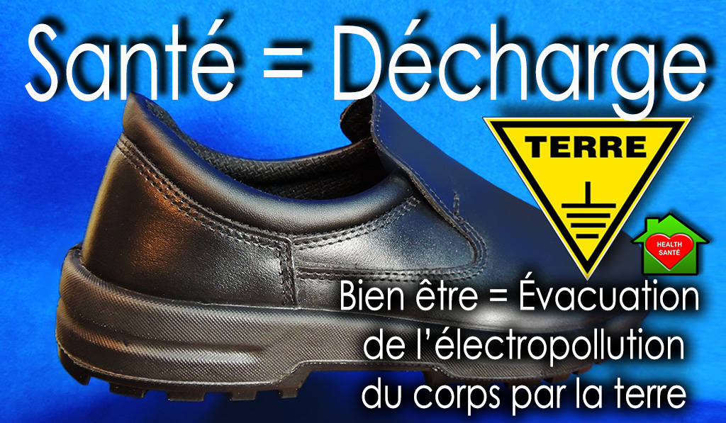 Sante_Decharge_Electropolution_Terre_DSCN0593