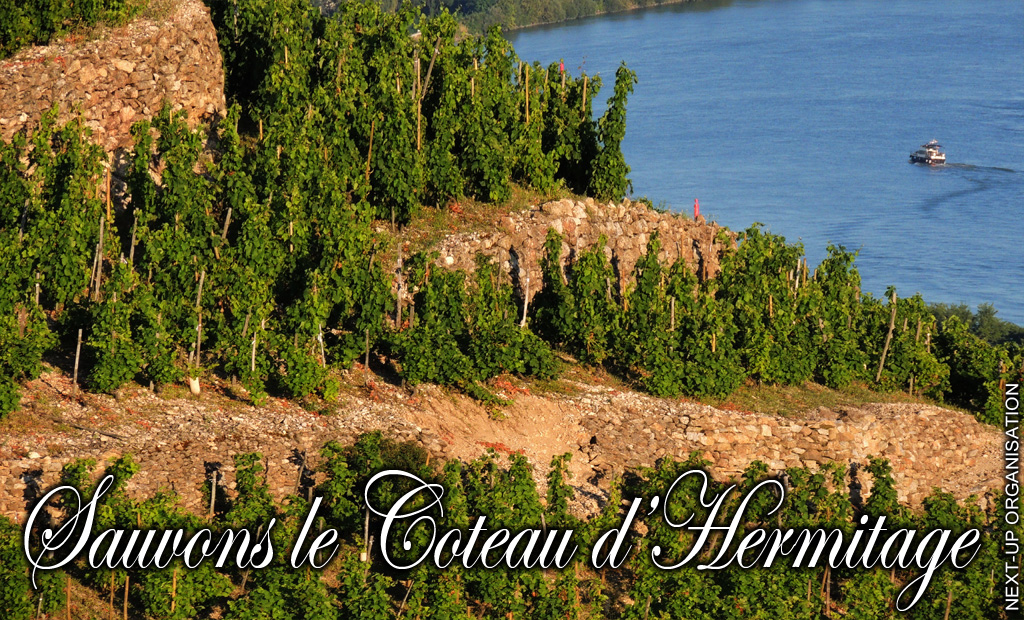 Sauvons_le_Coteau_Hermitage_Drome_France_DSCN4170