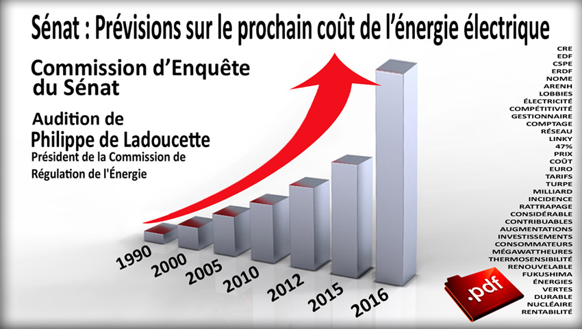 Senat_Commission_Enquete_Cout_reel_electricite_audition_Philippe_laDoucette_president_CRE_850.jpg