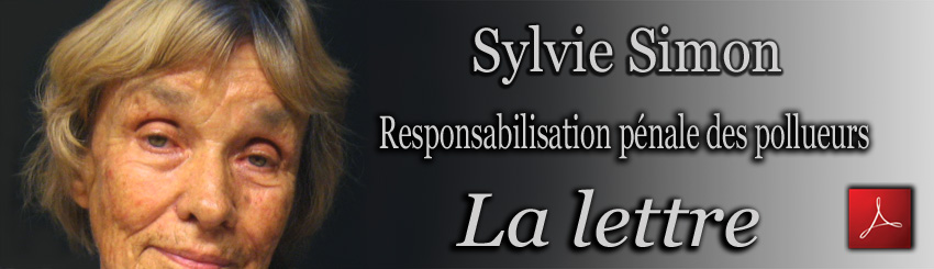 Sylvie_Simon_La_Lettre_19_01_2010