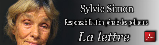 Sylvie_Simon_La_Lettre_19_01_2010_650