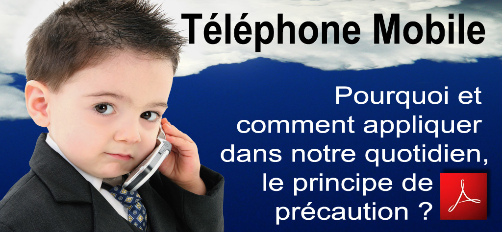 TPE_Lycee_Cezanne_Aix_en_Provence_Telephone_Portable_Principe_de_Precaution_08_03_2012