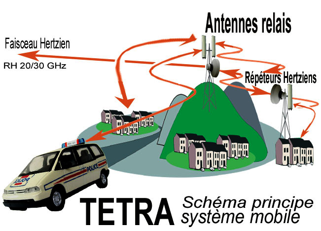 Tetra_principe_2010.