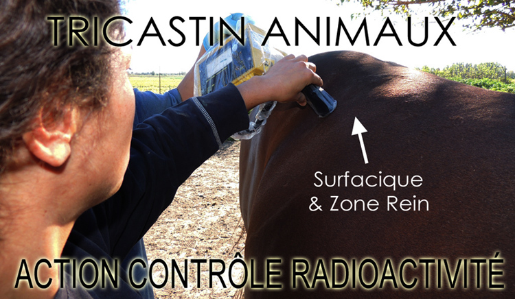 Tricastin_Controle_Radioactivite_Cheval_Zone_Rein_19_09_2013_750_DSCN0363