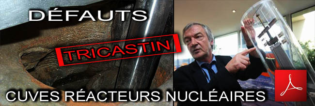 Tricastin_defauts_cuves_reacteurs_nucleaires_news_07_11_2010