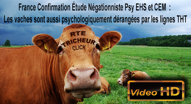 Vaches_Psychologiquement_Derangees_CEM_lignes_THT_28_05_2012_Flyer_News