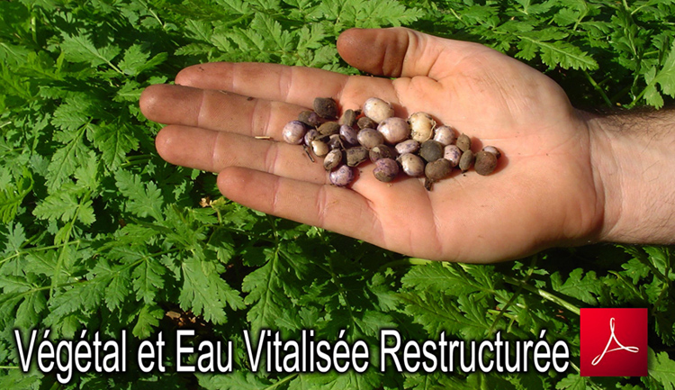 Vegetal_Germination_et_Eau_Vitalisee_Restructuree_Flyer_750_10_06_2013