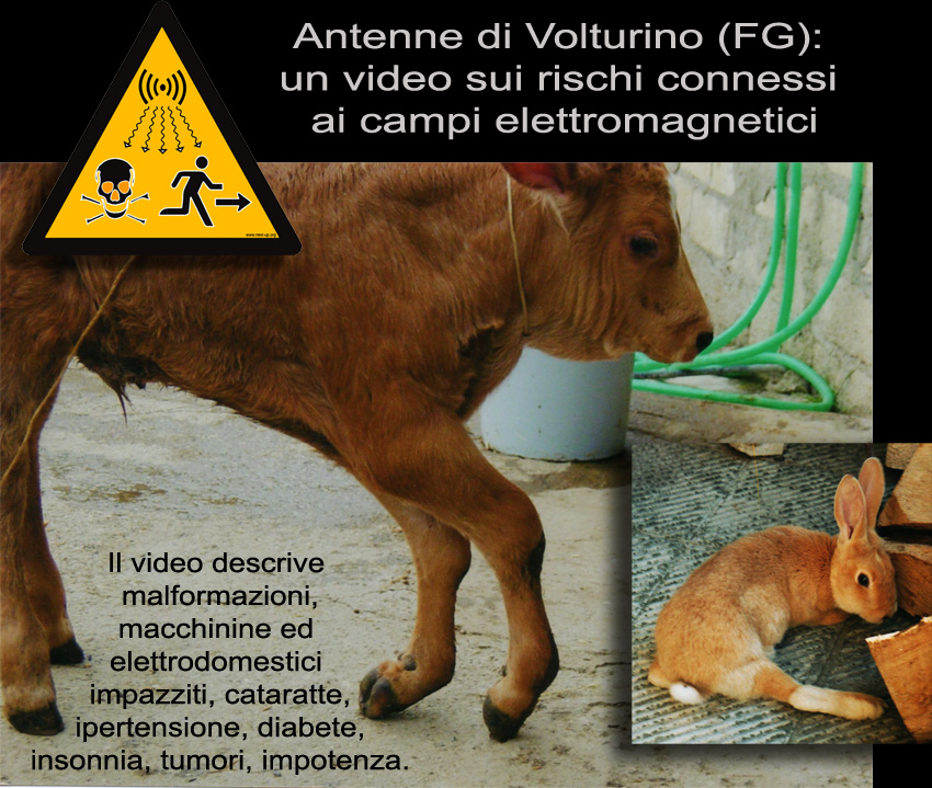 Volturino_Animali_affetti_elettrosmog_malformazioni