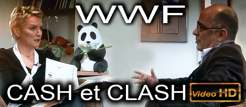 WWF_Cash_et_Clash_Flyer