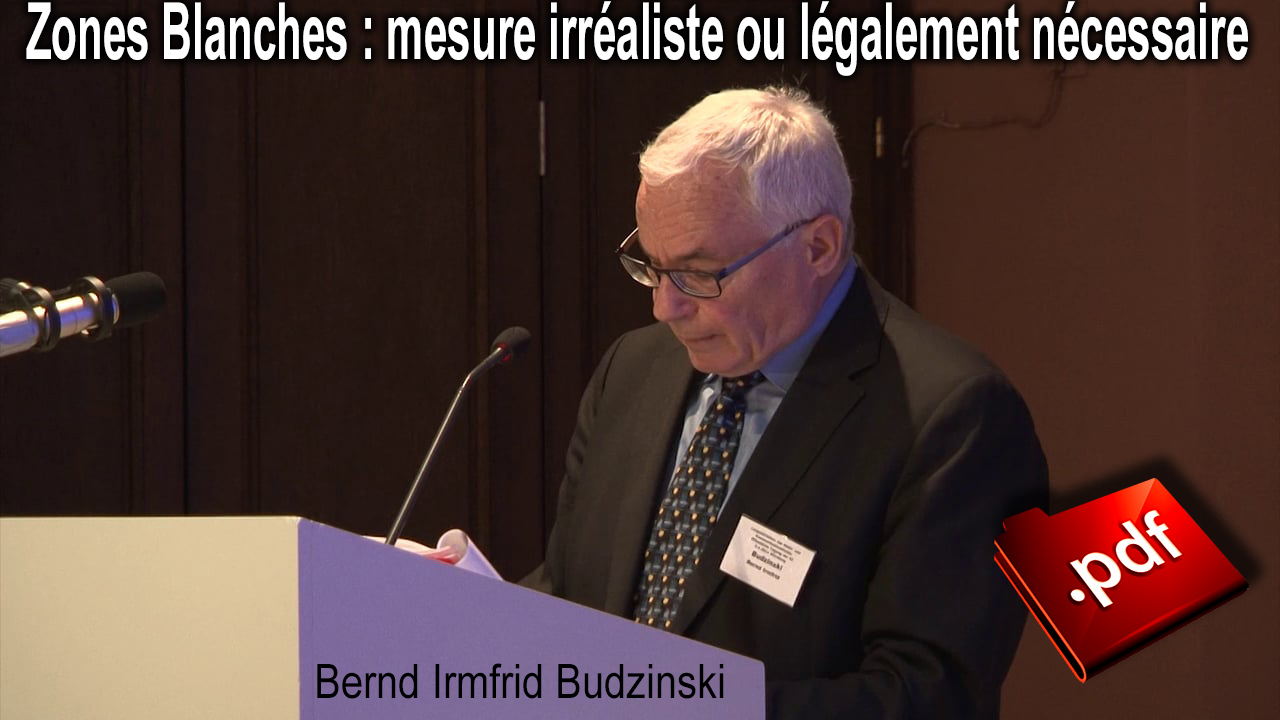 Zones_Blanches_irrealiste_ou_necessaire_Bernd_Budzinski.jpg